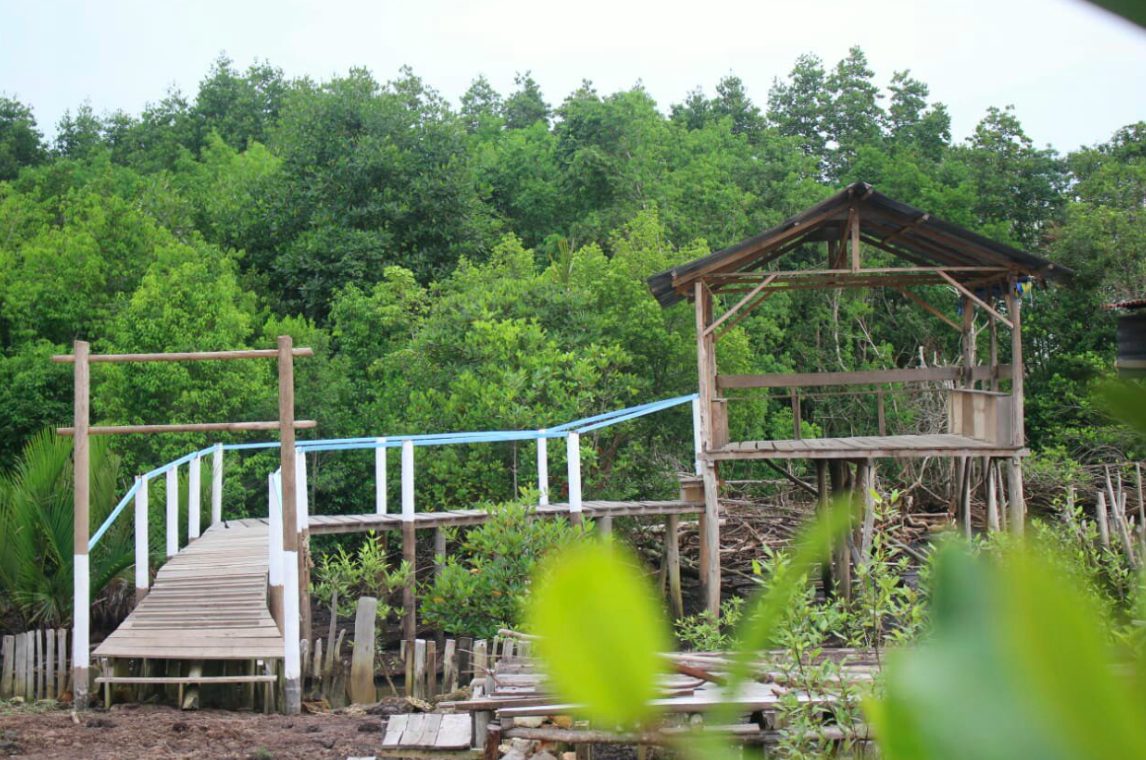 hutan-mangrove-sebauk-kesumbo-ampai